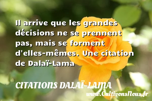 Il arrive que les grandes décisions ne se prennent - Citations Dalaï-Lama