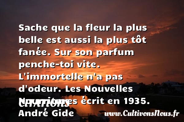 Sache que la fleur la plus belle est - Citations - Citations André Gide - Citation odeur