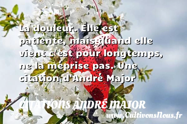 La douleur. Elle est patiente, mais quand elle - Citations André Major