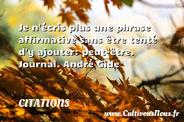 Je n’écris plus une phrase affirmative - Citations - Citations André Gide