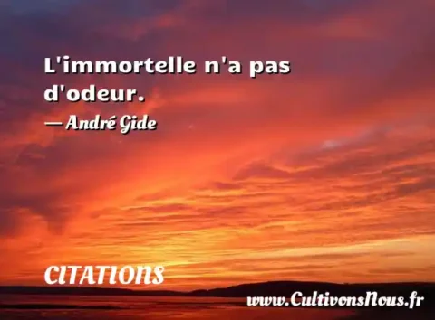 L immortelle n a pas d odeur. - André Gide CITATIONS
