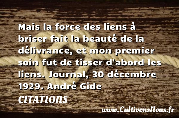 Mais la force des liens à briser fait - Citations - Citations André Gide