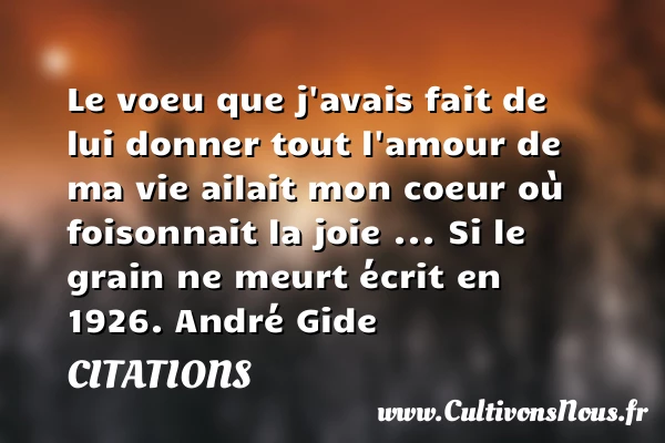 Le voeu que j’avais fait de lui donner - Citations - Citations André Gide