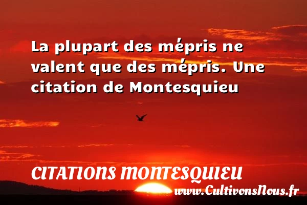 La plupart des mépris ne valent que des - Citations Montesquieu