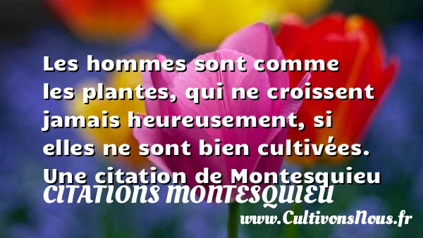 Les hommes sont comme les plantes, qui ne croissent jamais - Citations Montesquieu