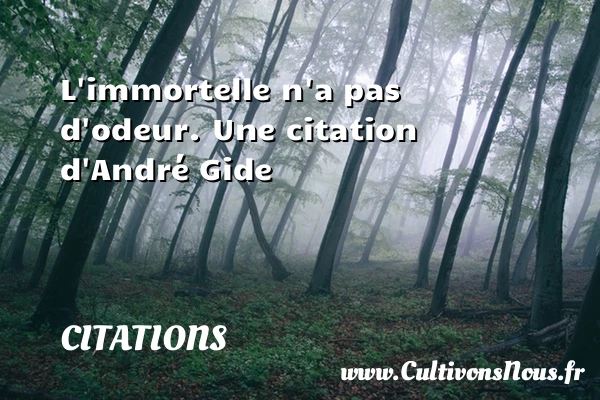 L’immortelle n’a pas d’odeur. - Citations - Citations André Gide - Citation odeur