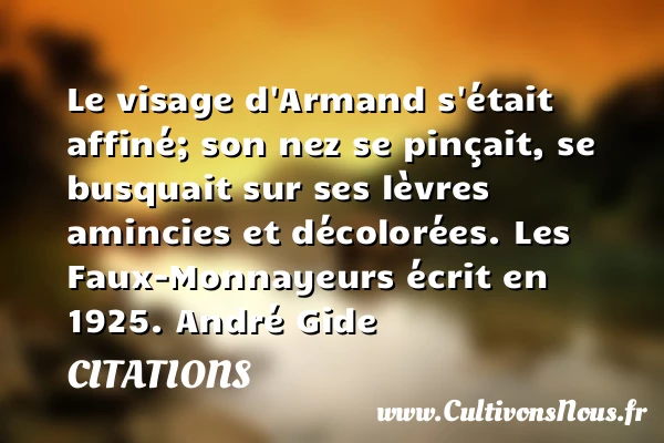 Le visage d’Armand s’était affiné; son - Citations - Citations André Gide - Citation visage
