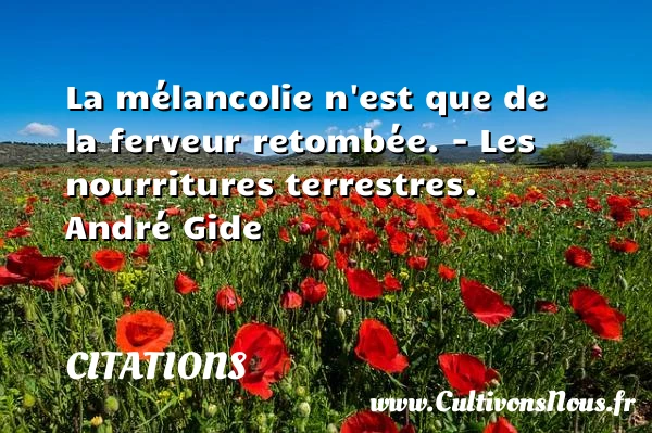 La mélancolie n’est que de la ferveur - Citations - Citations André Gide