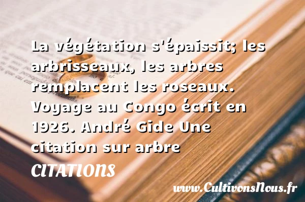 La végétation s’épaissit; les - Citations - Citations André Gide - Citation arbre - Citation état
