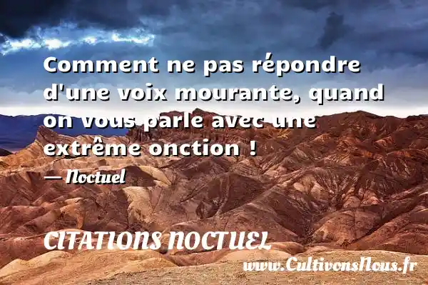 Comment ne pas répondre d une voix mourante, quand on vous parle avec une extrême onction ! - Noctuel CITATIONS NOCTUEL