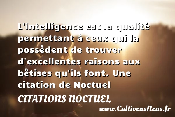 L’intelligence est la qualité permettant à ceux qui la possèdent de trouver - Citations Noctuel - Citation qualité