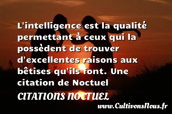 L’intelligence est la qualité permettant à ceux qui la possèdent de trouver - Citations Noctuel - Citation qualité