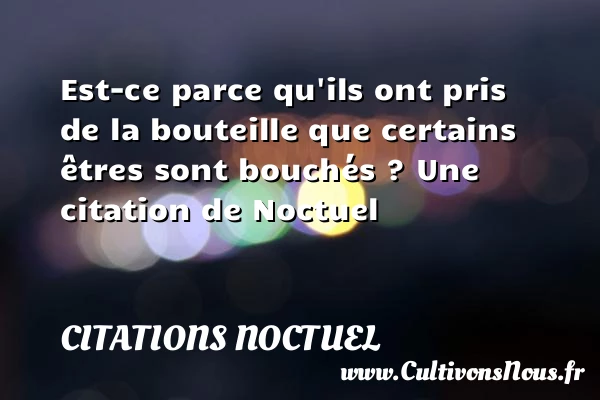 Est-ce parce qu’ils ont pris de la bouteille que certains êtres sont - Citations Noctuel