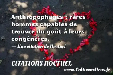 Anthropophages : rares hommes capables de trouver du goût à leurs congénères. - Une citation de Noctuel CITATIONS NOCTUEL