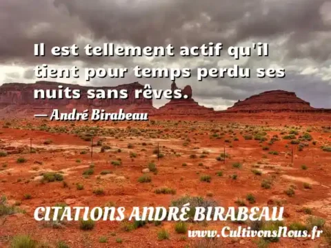 Il est tellement actif qu il tient pour temps perdu ses nuits sans rêves. - André Birabeau CITATIONS ANDRÉ BIRABEAU