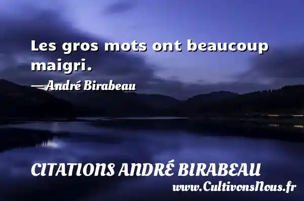 Les gros mots ont beaucoup maigri. - André Birabeau CITATIONS ANDRÉ BIRABEAU