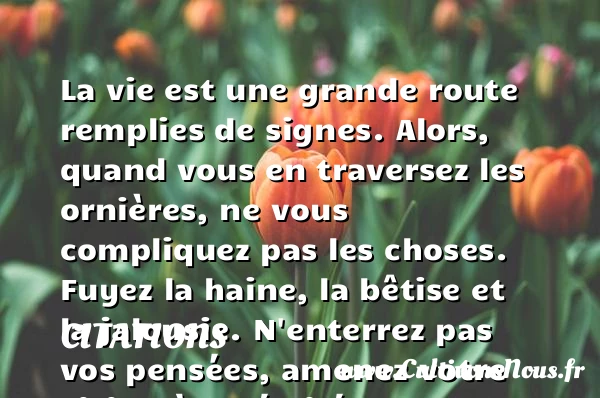 La vie est une grande route remplies de signes - Citations - Citations bob marley