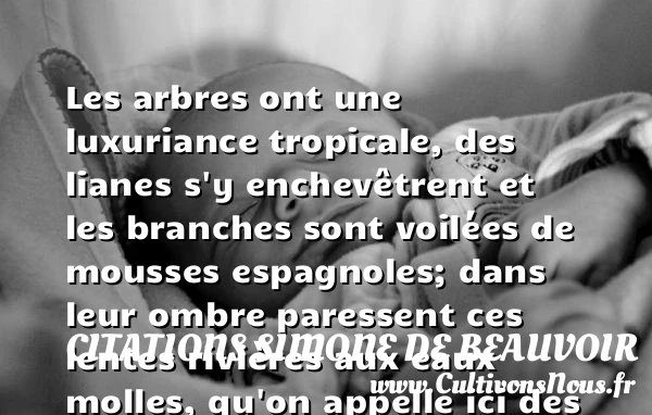 Les arbres ont une luxuriance - Citations Simone de Beauvoir - Citation arbre