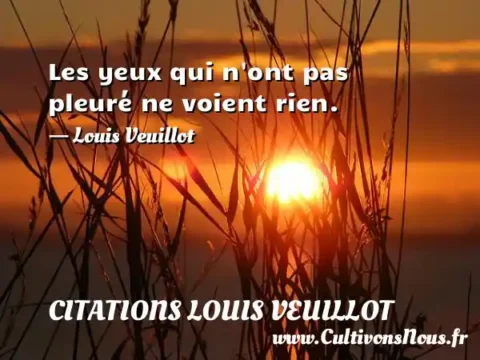 Les yeux qui n ont pas pleuré ne voient rien. - Louis Veuillot CITATIONS LOUIS VEUILLOT