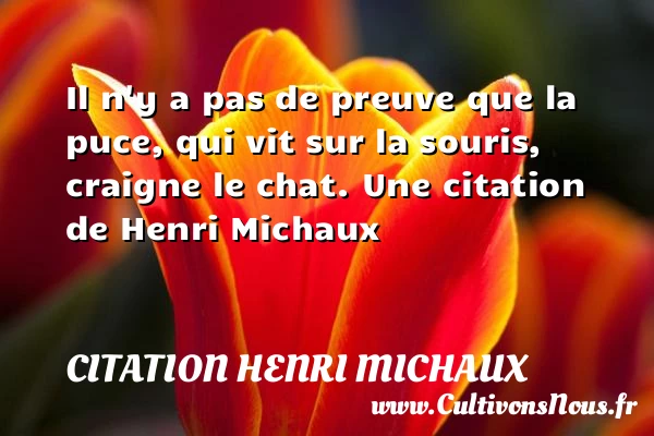 Il n’y a pas de preuve que la puce, qui vit sur - Citation Henri Michaux