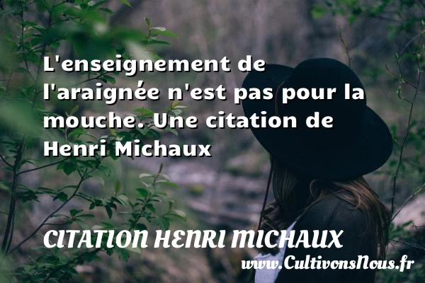 L’enseignement de l’araignée n’est pas pour la mouche. - Citation Henri Michaux