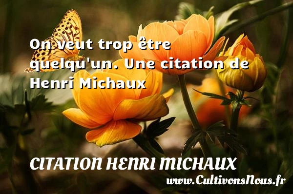 On veut trop être quelqu’un. - Citation Henri Michaux