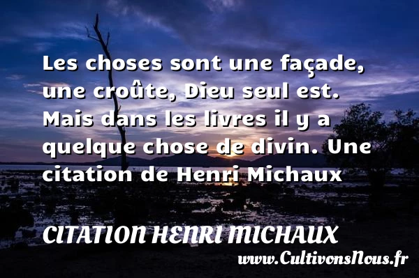 Les choses sont une façade, une croûte, Dieu seul est. - Citation Henri Michaux