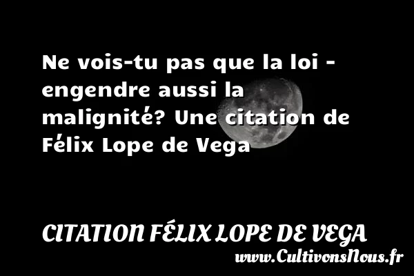 Ne vois-tu pas que la loi – engendre aussi - Citation Félix Lope De Vega