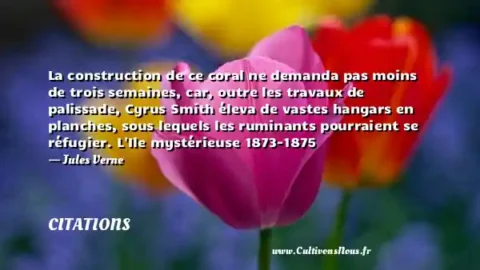 La construction de ce coral ne demanda pas moins de trois semaines, car, outre les travaux de palissade, Cyrus Smith éleva de vastes hangars en planches, sous lequels les ruminants pourraient se réfugier. L Ile mystérieuse 1873-1875 - Jules Verne CITATIONS