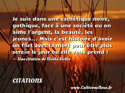 Je suis dans une esthétique noire, gothique, face à une société ou on aime l argent, la beauté, les jeunes... Mais c est histoire d avoir un flirt avec la mort pour être plus serein le jour ou elle vous prend ! - Une citation de Nicola Sirkis CITATIONS