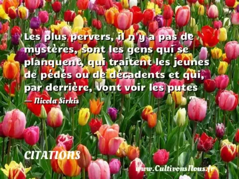Les plus pervers, il n y a pas de mystères, sont les gens qui se planquent, qui traitent les jeunes de pédés ou de décadents et qui, par derrière, vont voir les putes - Nicola Sirkis CITATIONS