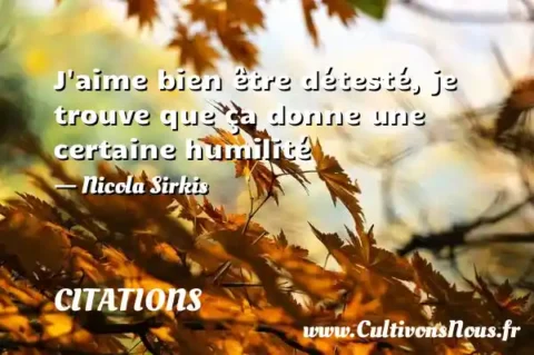 J aime bien être détesté, je trouve que ça donne une certaine humilité - Nicola Sirkis CITATIONS