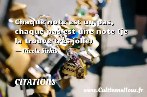 Chaque note est un pas, chaque pas est une note (je la trouve très jolie) - Nicola Sirkis CITATIONS