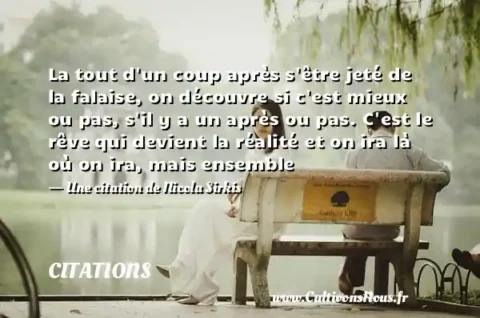 La tout d un coup après s être jeté de la falaise, on découvre si c est mieux ou pas, s il y a un après ou pas. C est le rêve qui devient la réalité et on ira là où on ira, mais ensemble - Une citation de Nicola Sirkis CITATIONS