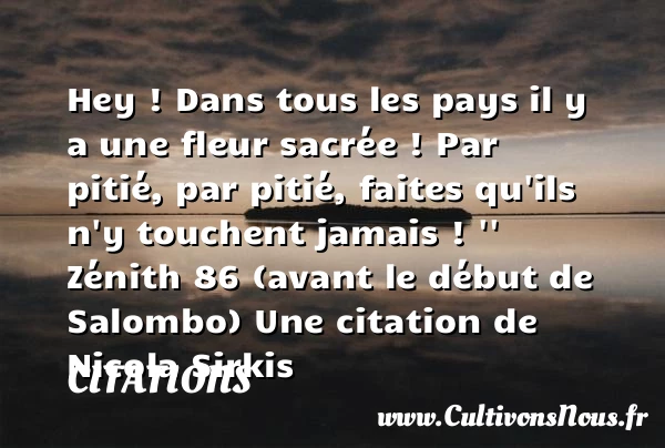 Hey ! Dans tous les pays il y a une fleur sacrée - Citations - Citations Nicolas Sirkis