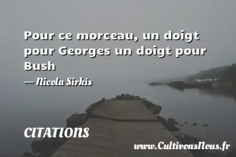 Pour ce morceau, un doigt pour Georges un doigt pour Bush - Nicola Sirkis CITATIONS
