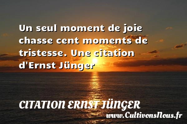 Un seul moment de joie chasse cent moments de - Citation Ernst Jünger