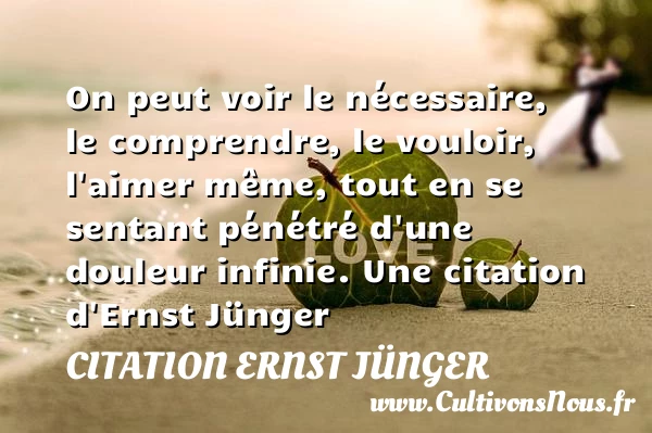 On peut voir le nécessaire, le comprendre, le vouloir, l’aimer - Citation Ernst Jünger