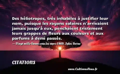 Des héliotropes, très inhabiles à justifier leur nom, puisque les rayons solaires n arrivaient jamais jusqu à eux, penchaient tristement leurs grappes de fleurs aux couleurs et aux parfums à demi passés. - Vingt mille lieues sous les mers 1869. Jules Verne CITATIONS