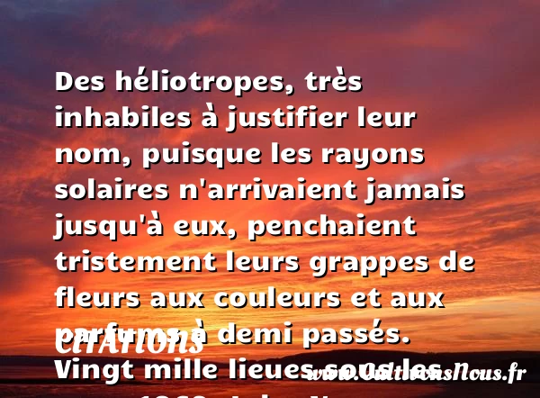 Des héliotropes, très inhabiles à - Citations - Citations Jules Verne - Citation parfum