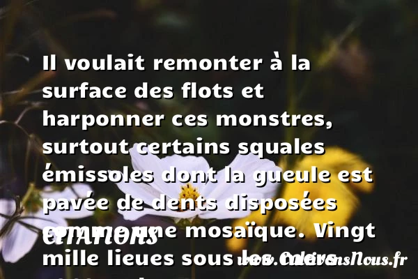 Il voulait remonter à la surface - Citations - Citations Jules Verne - Citation gueule