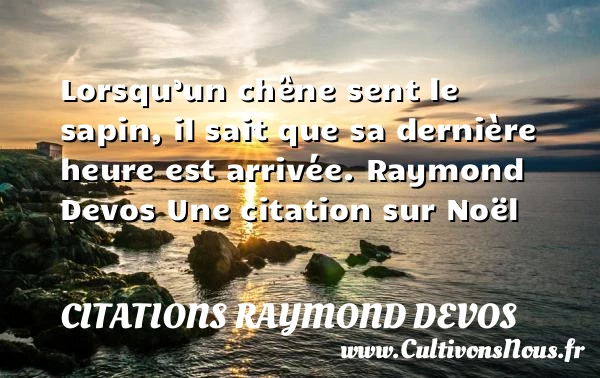 Lorsqu’un chêne sent le sapin - Citations Raymond Devos - Citation Noël