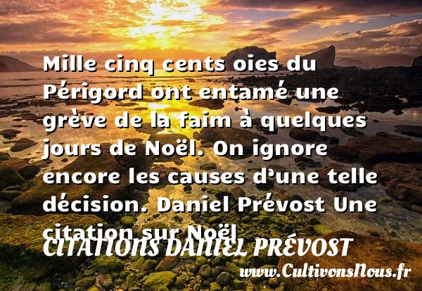 Mille cinq cents oies du Périgord ont entamé une grève de la faim à quelques jours de Noël - Citations Daniel Prévost - Citation Noël