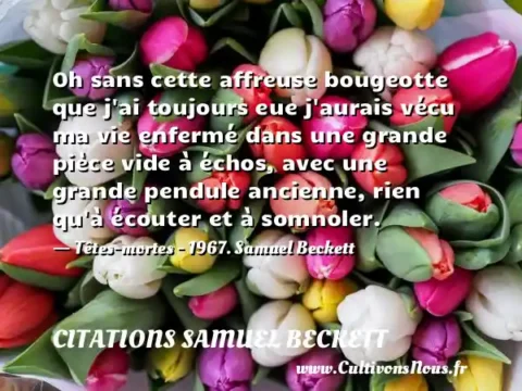 Oh sans cette affreuse bougeotte que j ai toujours eue j aurais vécu ma vie enfermé dans une grande pièce vide à échos, avec une grande pendule ancienne, rien qu à écouter et à somnoler. - Têtes-mortes - 1967. Samuel Beckett CITATIONS SAMUEL BECKETT