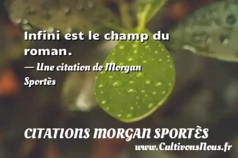 Infini est le champ du roman. - Une citation de Morgan Sportès CITATIONS MORGAN SPORTÈS