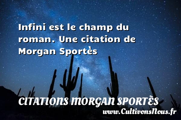 Infini est le champ du roman. - Citations Morgan Sportès
