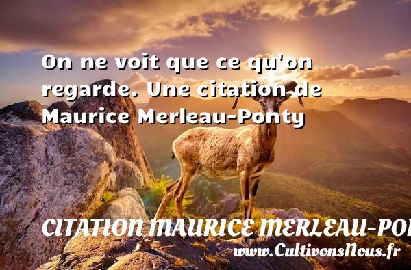 On ne voit que ce qu’on regarde. - Citation Maurice Merleau-Ponty