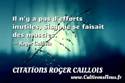 Il n y a pas d efforts inutiles, Sisyphe se faisait des muscles. - Roger Caillois CITATIONS ROGER CAILLOIS