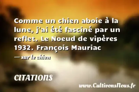 Comme un chien aboie à la lune, j ai été fasciné par un reflet. Le Noeud de vipères 1932. François Mauriac - sur le chien CITATIONS