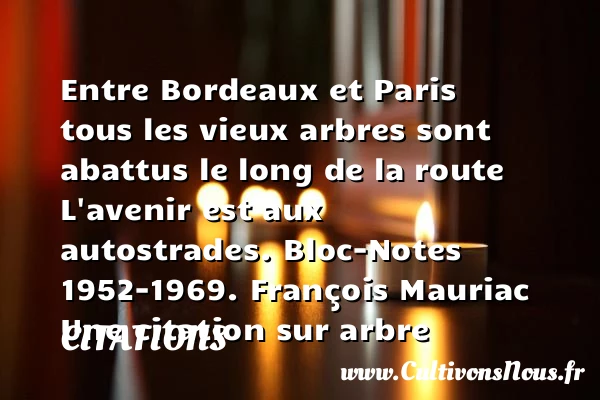Entre Bordeaux et Paris tous - Citations - Citations François Mauriac - Citation arbre